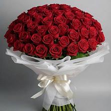 Букет 101 Красная роза Блэк Мэджик в Федоровка Республика Башкортостан