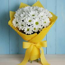 Букет цветов из:  Хризантемы в Федоровка Республика Башкортостан