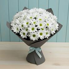 Букет цветов из:  Хризантемы в Федоровка Республика Башкортостан