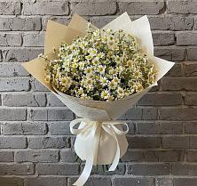 Букет цветов из:  Ромашки в Федоровка Республика Башкортостан