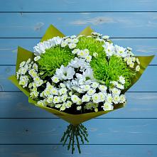 Букет цветов из:  Хризантемы в Федоровка Республика Башкортостан