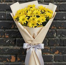Букет цветов из:  Хризантемы в Федоровка Республика Башкортостан