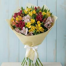 Букет цветов из:  Альстромерии #REPLACE_PRED# Федоровка Республика Башкортостан