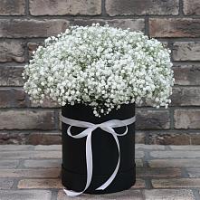Цветочная композиция из Гипсофила в шляпной коробке в Федоровка Республика Башкортостан