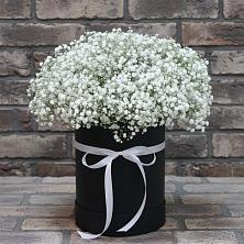 Цветочная композиция из Гипсофила в шляпной коробке в Федоровка Республика Башкортостан