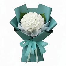Букет цветов из:  Гортензия #REPLACE_PRED# Федоровка Республика Башкортостан